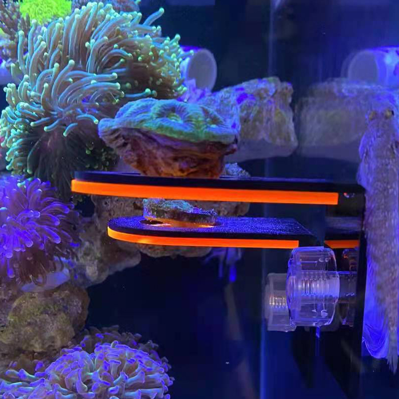 Marine Coral - Акриловый держатель для выращивания флуоресцентных кораллов