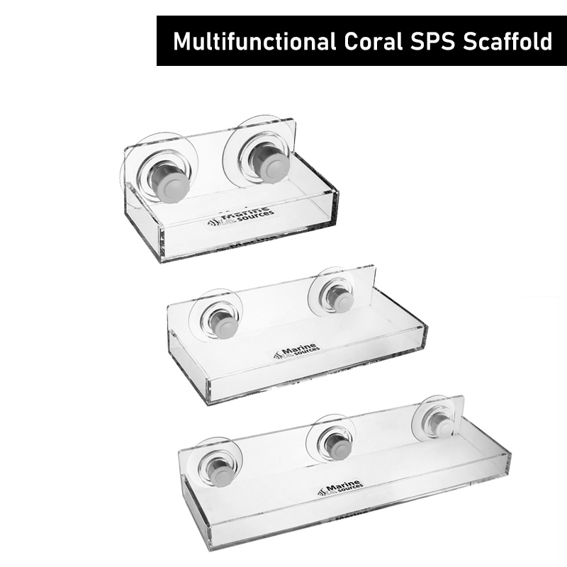 Marine Coral - Морские источники Многофункциональный коралловый леса SPS