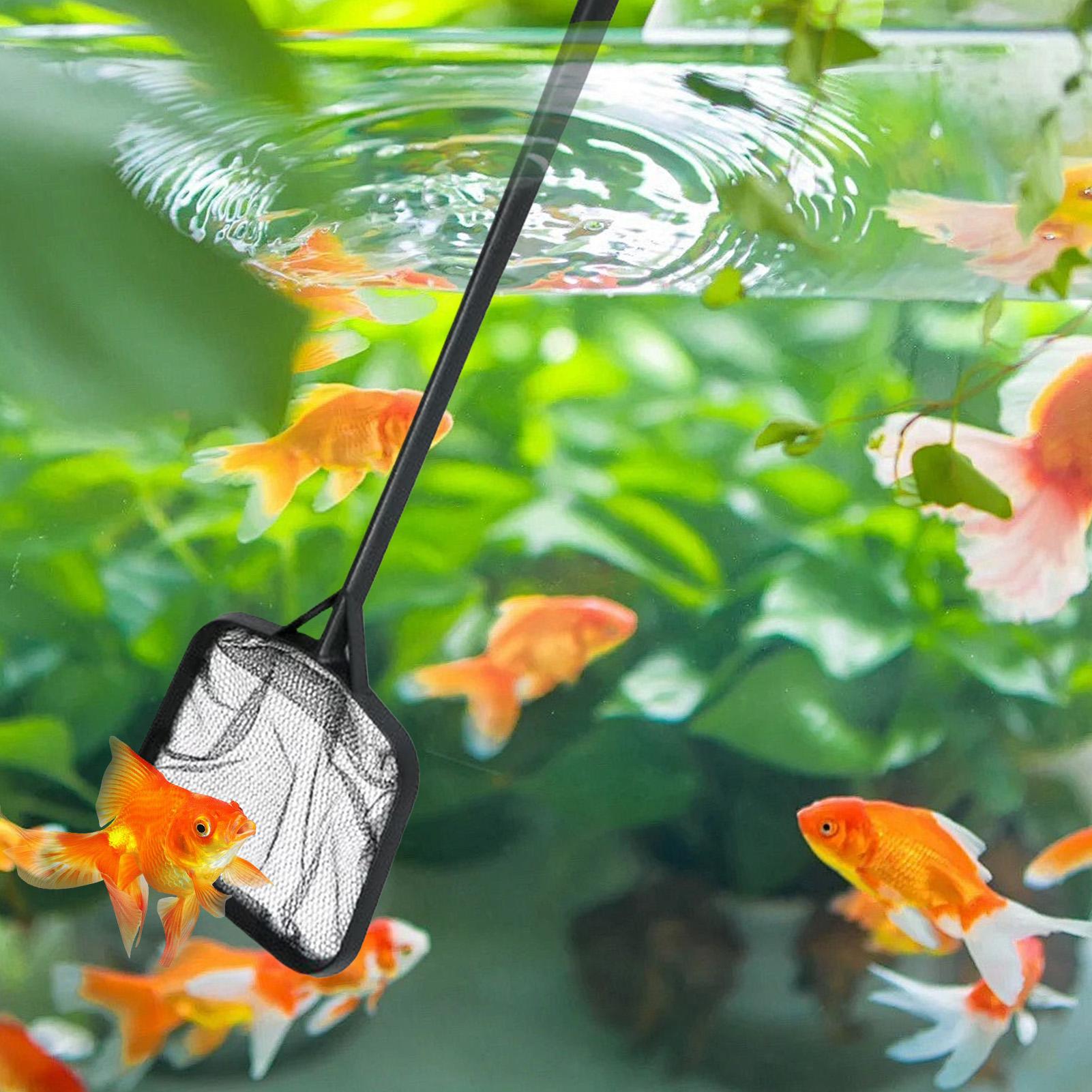 Сетки для чистки бассейнов, по – обзор и цена Marine Aquarium