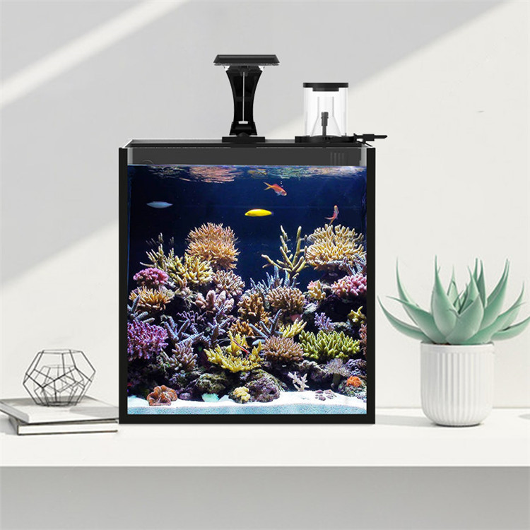Аквариум Skynuo Ultra Clear Gl – обзор и цена Marine Aquarium Cube