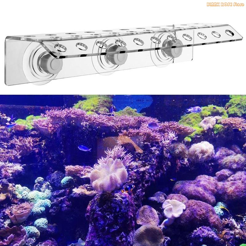 K1AE Акриловая подставка для к – обзор и цена Reef Aquarium