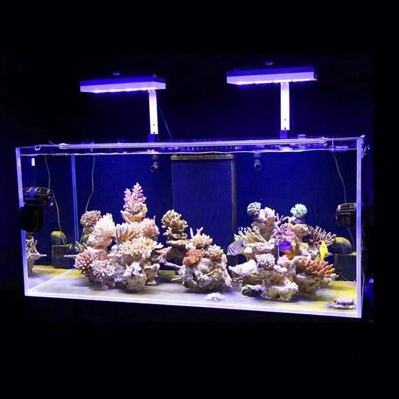 Светодиодный светильник Aqua I – обзор и цена Reef Lighting