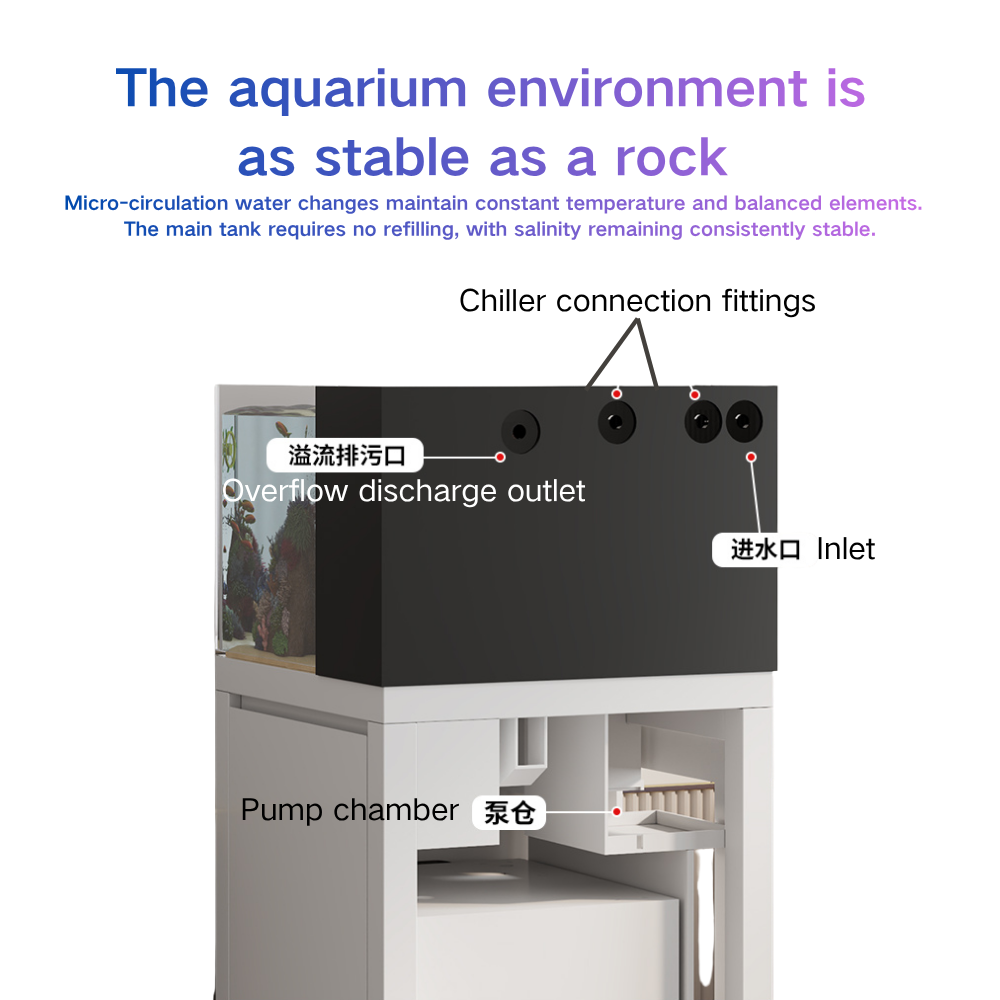 Умный аквариум Paopaoshark с а – обзор и цена Marine Aquarium Cube