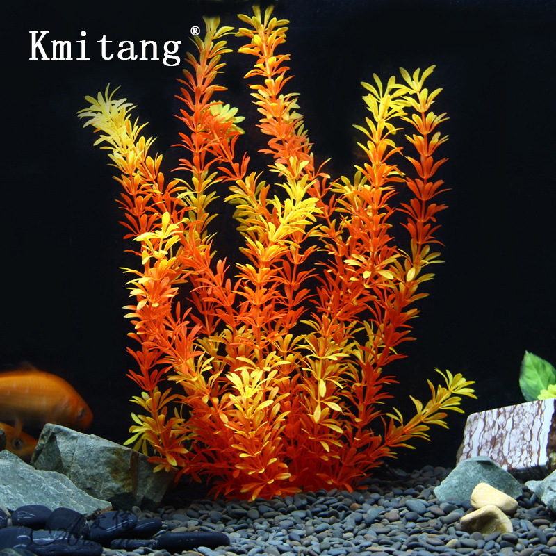 100 см Тропические растения, б – обзор и цена Marine Aquarium