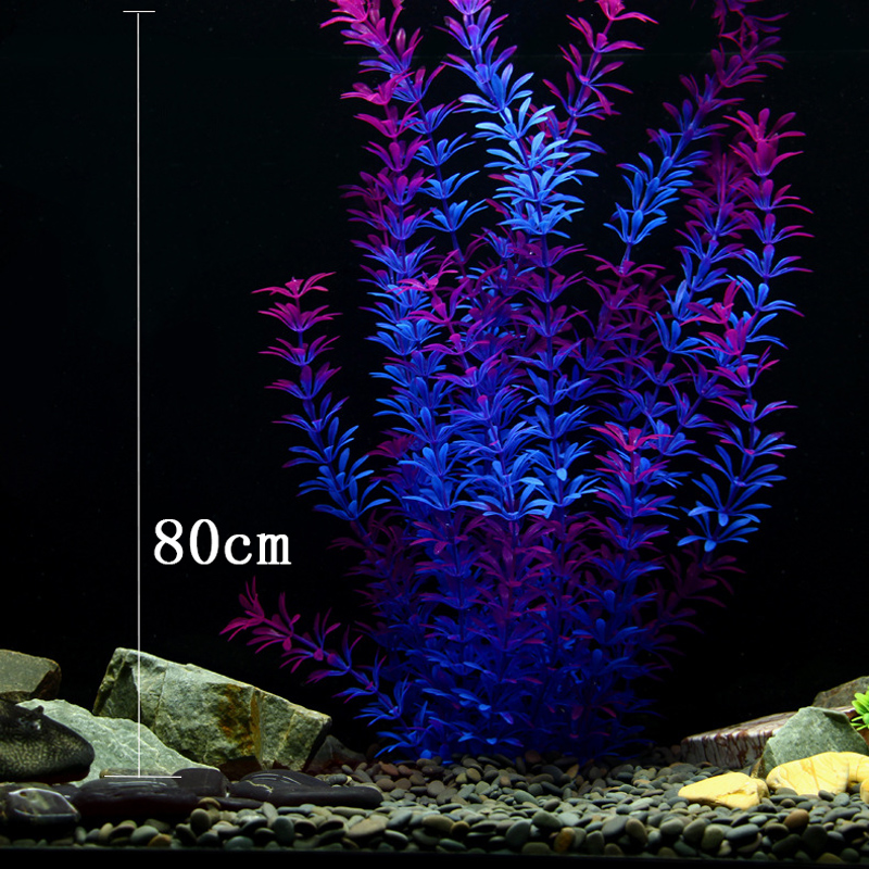100 см Тропические растения, б – обзор и цена Marine Aquarium