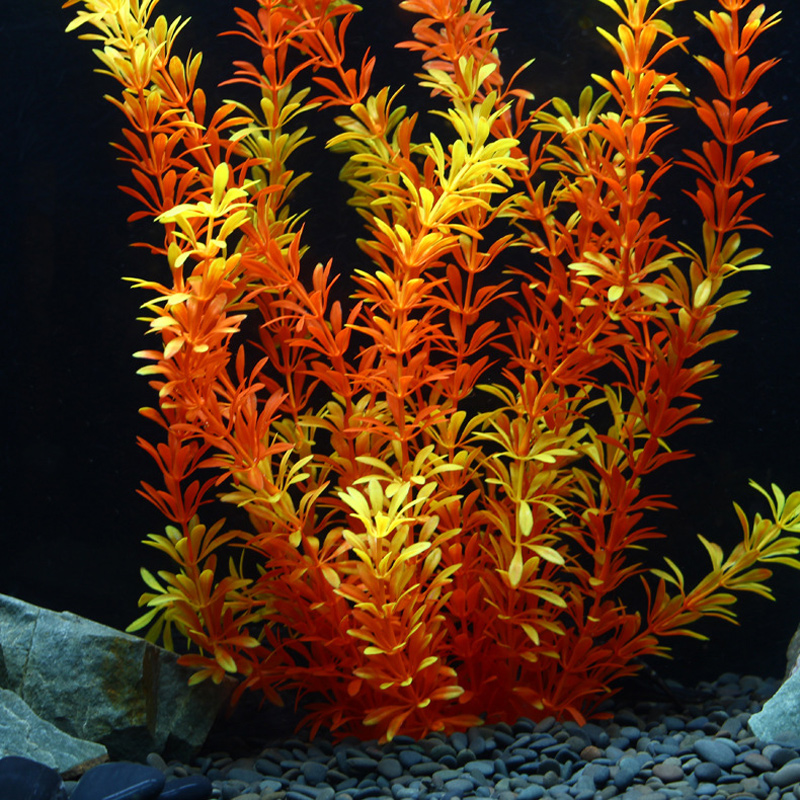 100 см Тропические растения, б – обзор и цена Marine Aquarium