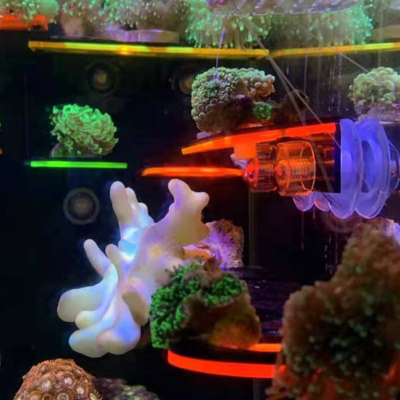 Акриловый держатель для выращи – обзор и цена Marine Coral
