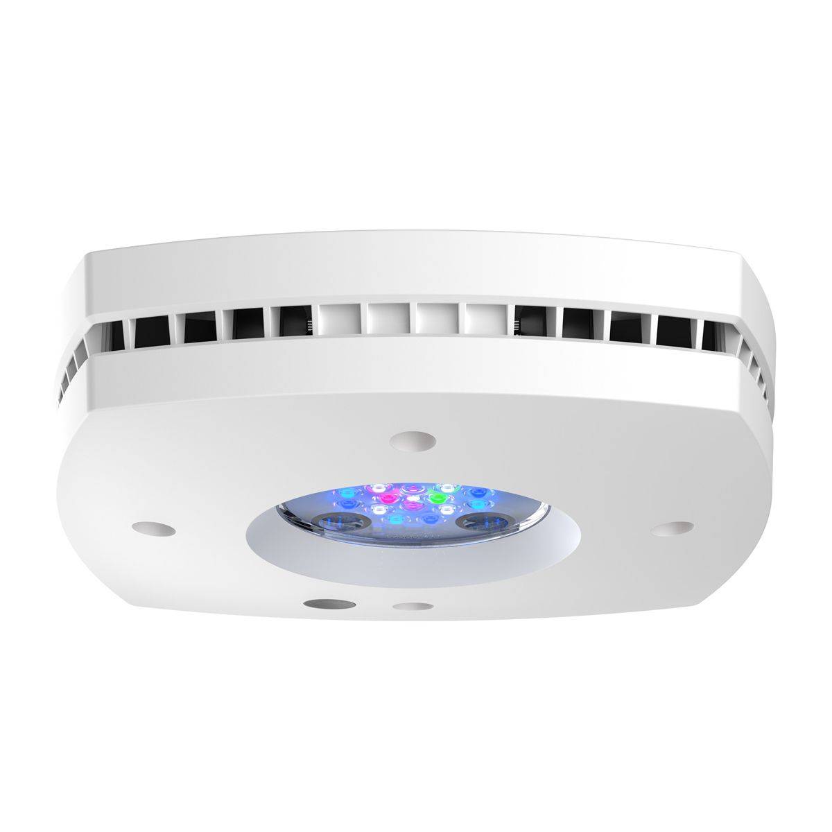 Светодиодный рифовый светильни – обзор и цена Reef Lighting