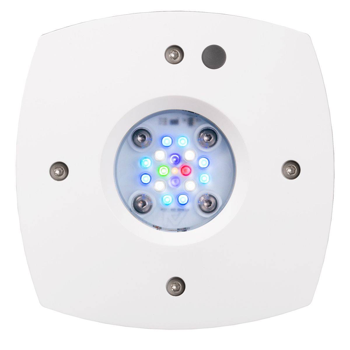 Светодиодный рифовый светильни – обзор и цена Reef Lighting