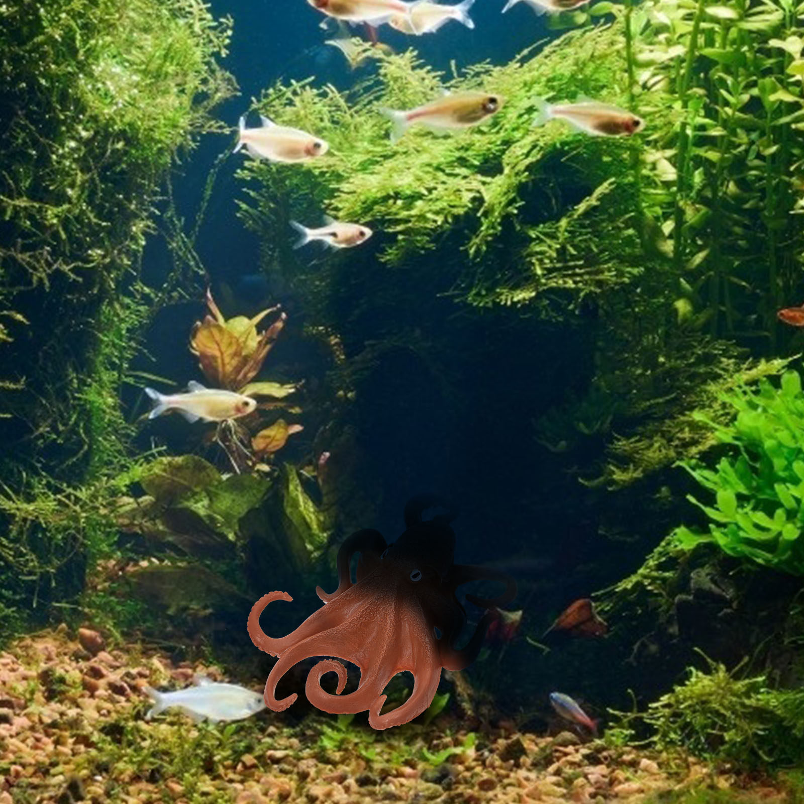 Реалистичная фигурка осьминога – обзор и цена Marine Aquarium