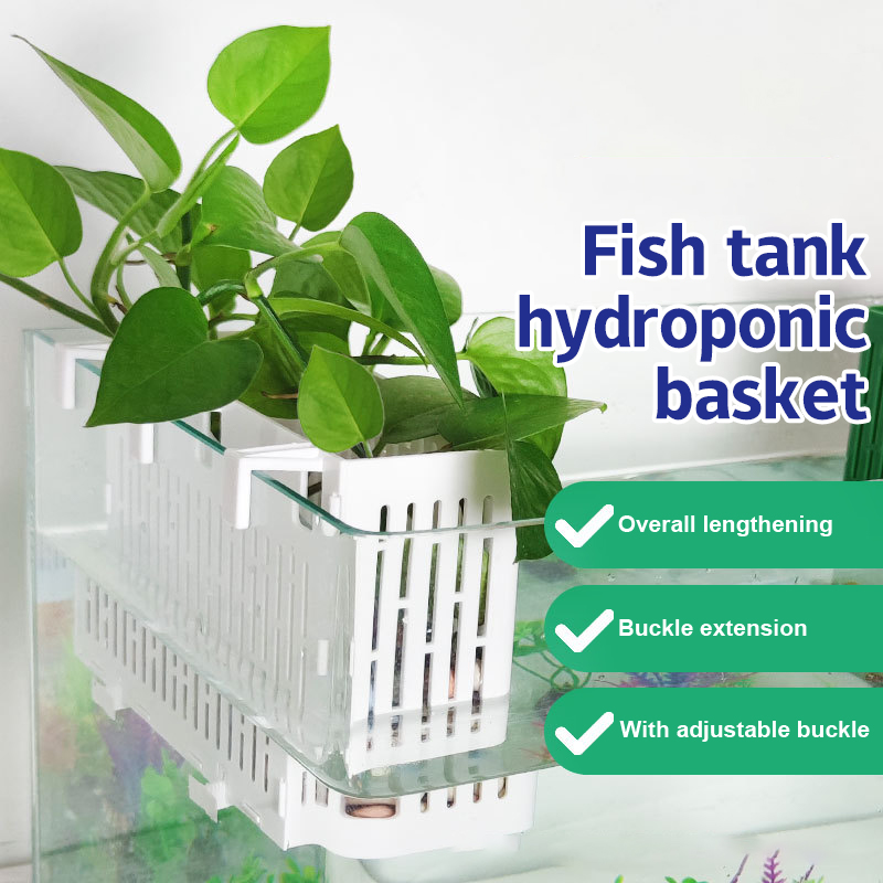 【F】Подвесная корзина для аквар – обзор и цена Marine Aquarium