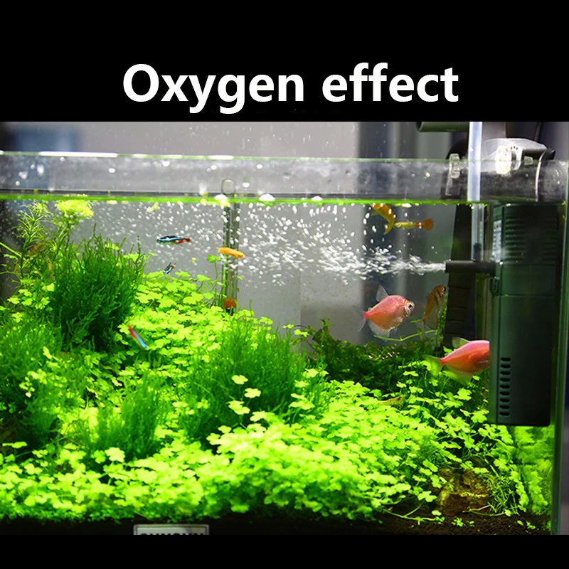 SUNSUN mini nano 111B 311B 611 – обзор и цена Reef Tank Filter